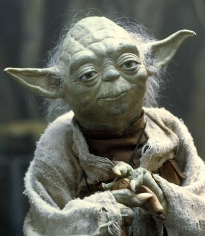 Your new life coach...