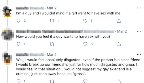 Screen shot of three tweets. First says: I'm a guy and I wouldnt mind if a girl want to have sex with me. Second says: How would you feel if a guy wants to have sex with you? Third tweet: Well, I would feel absolutely disgusted, even if the person is a close friend I would break up our friendship just for how much disgusted and gross I would feel in that situation. I would not suggest my gay ex-friend is a criminal, just keep away because "gross".