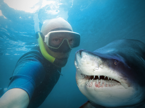 Underwater selfie with a shark 