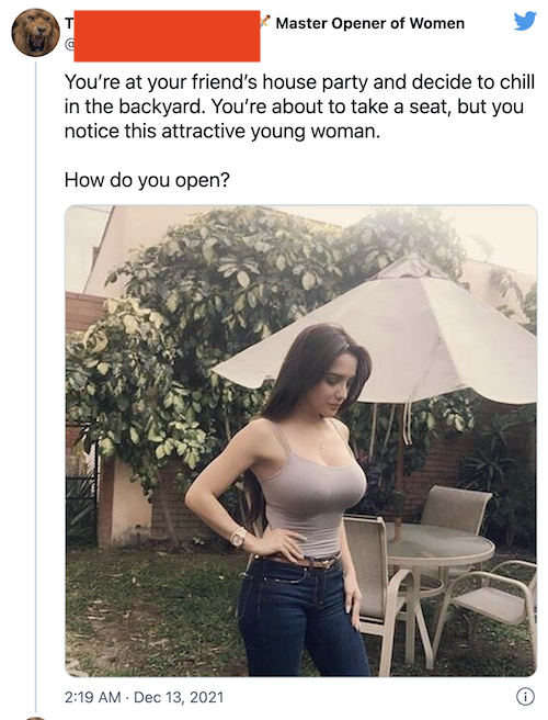 screenshot of a Twitter post with an image of a busty young white oman with her hand on her hip. Text reads: You're at your friend's house party and decide to chill in the backyard. You're about to take a seat, but you notice this attractive young woman. How do you open?